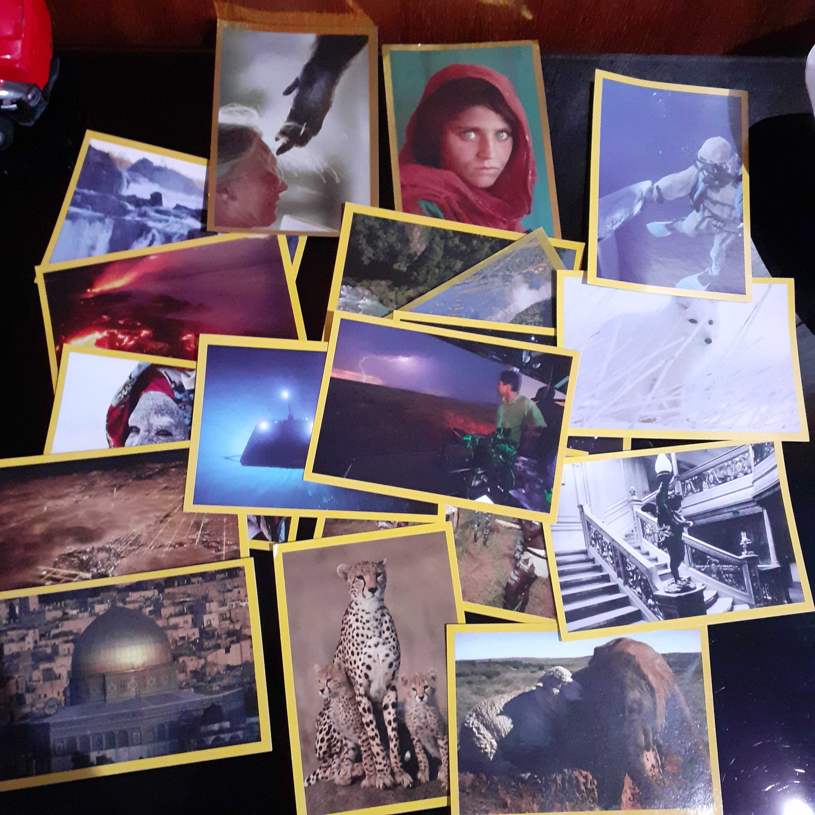 Cromos e Dinossauros