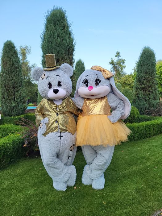 Гендер Паті Аніматори Зайка Мишка Жива Фотозона Гендер Пати Аниматор