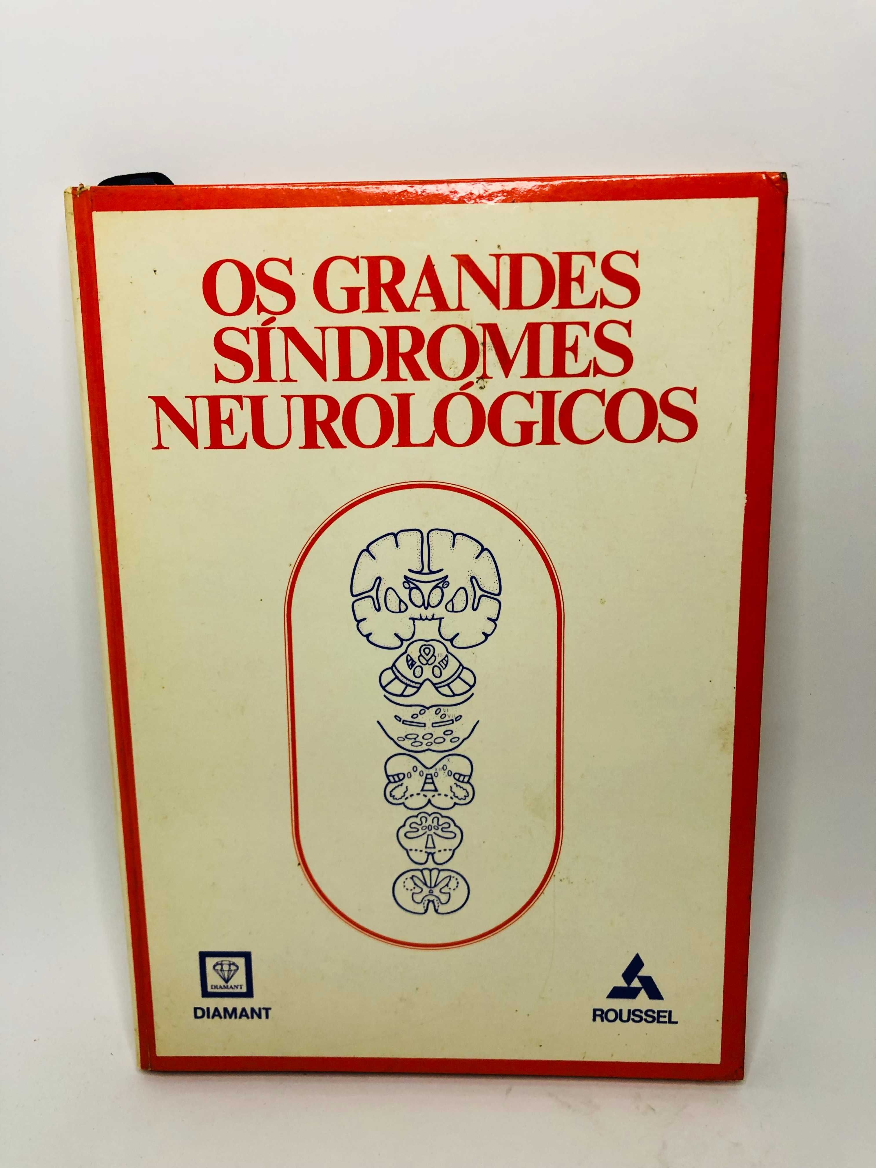 Os Grandes Síndromes Neurológicos