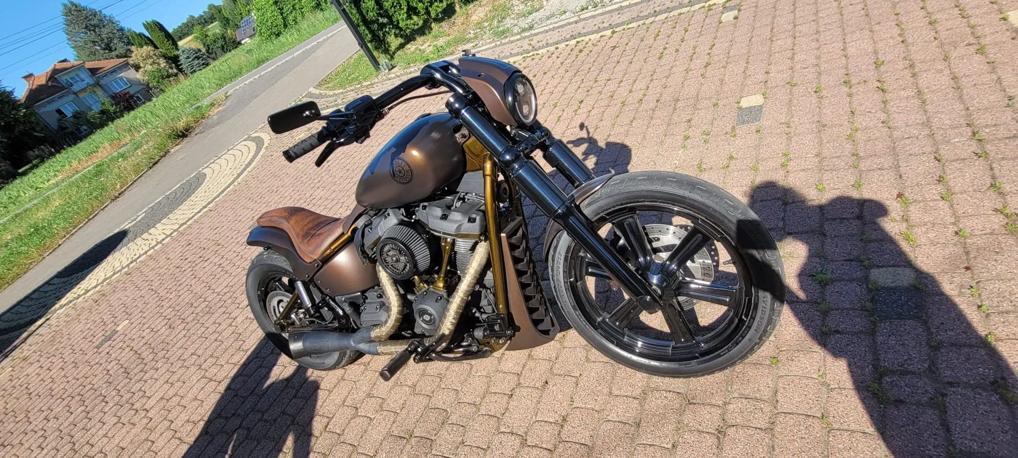 Harley-Davidson Softail Street Bob Harley Davidson street bob 107 Custom