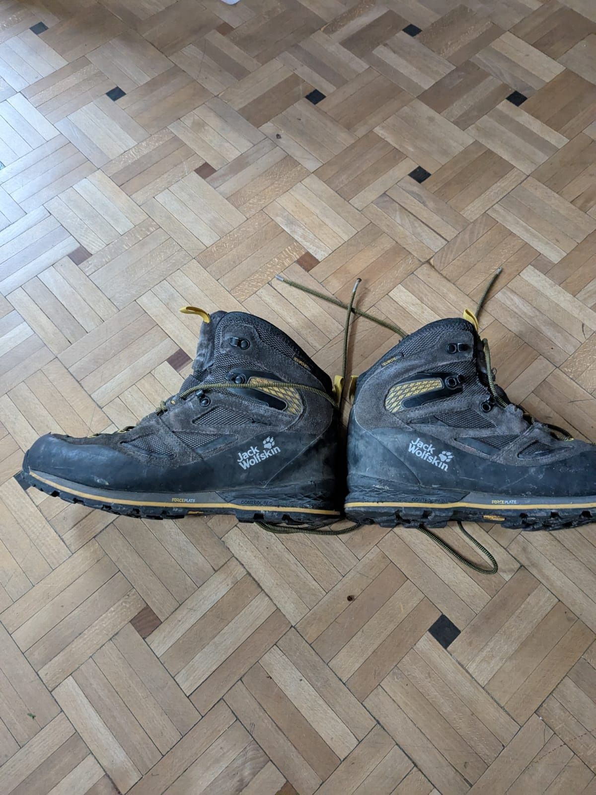 Buty trekkingowe Jack Wolfskin Force Crest Texapore Mid M