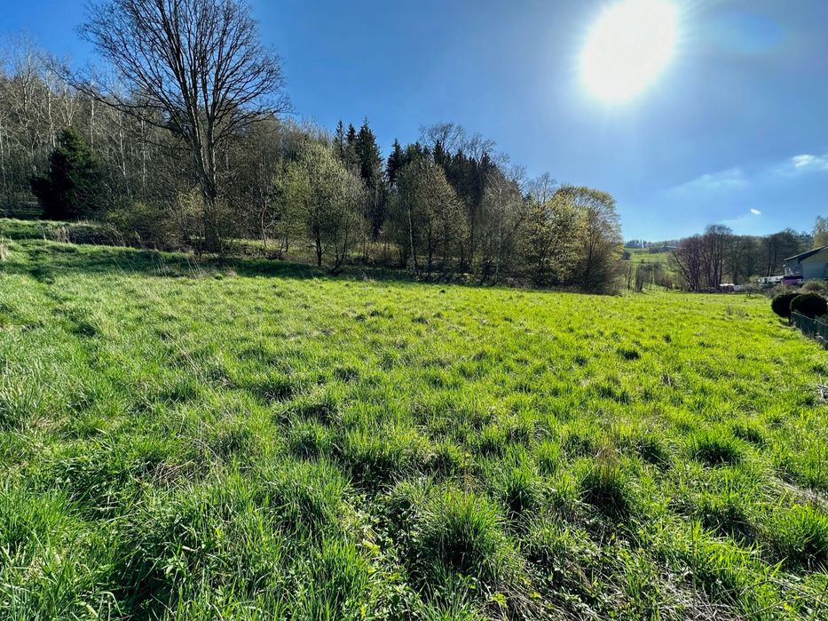Działki budowlane Nowa Ruda - Drogosław