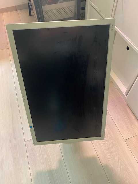 Monitor NEC EA244WMi 24″ IPS 1920×1200, pivot, USB hub – biały