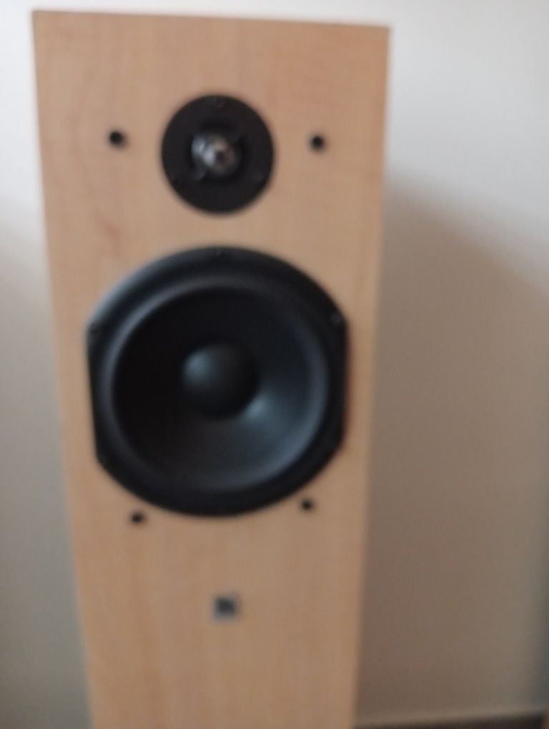 Kolumny podłogowe audio pro