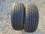 Opony wielosezonowe Zeetex WP1000  175/55r15 (77T)