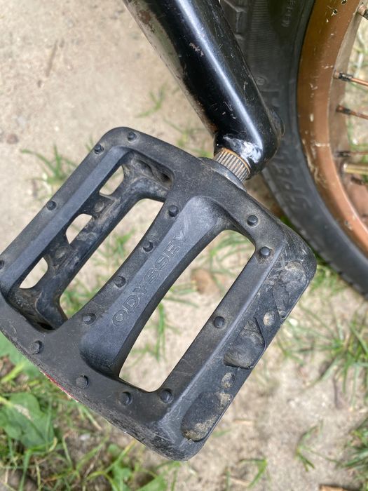 witam mam na sprzedaż rovera