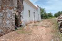 Quinta com casa em ruína para reconstrução em terreno com 3 ha à venda