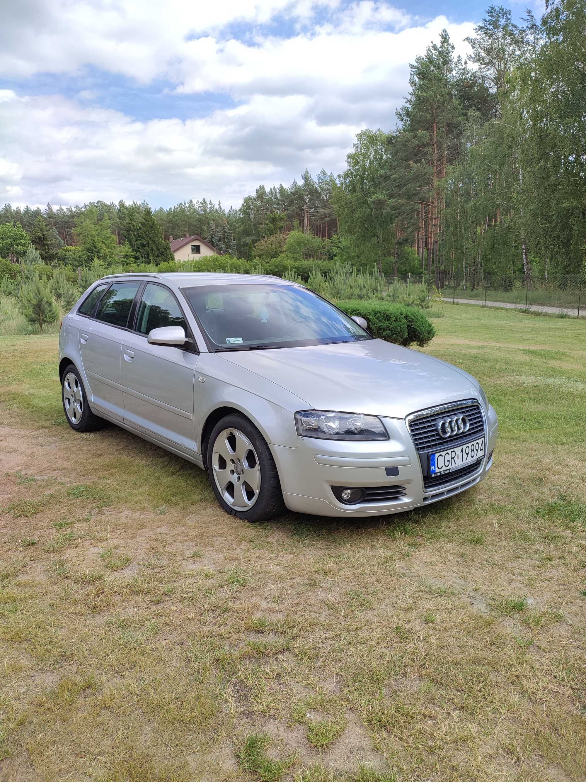 Audi A3 8P 1.9 tdi