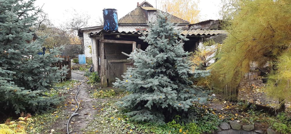 продаєм будинок із жилою літнєю кухнею