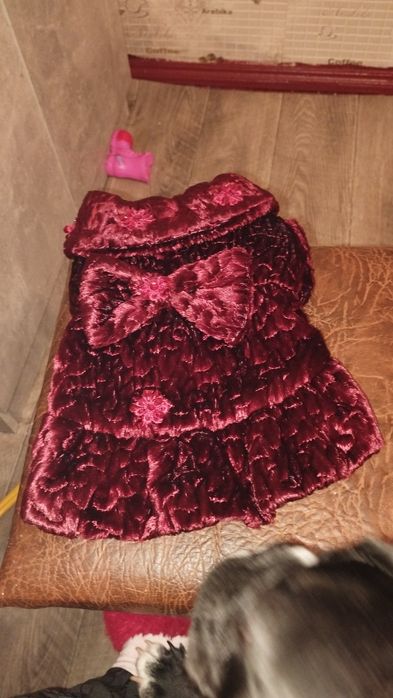 Одяг для собак розмір м