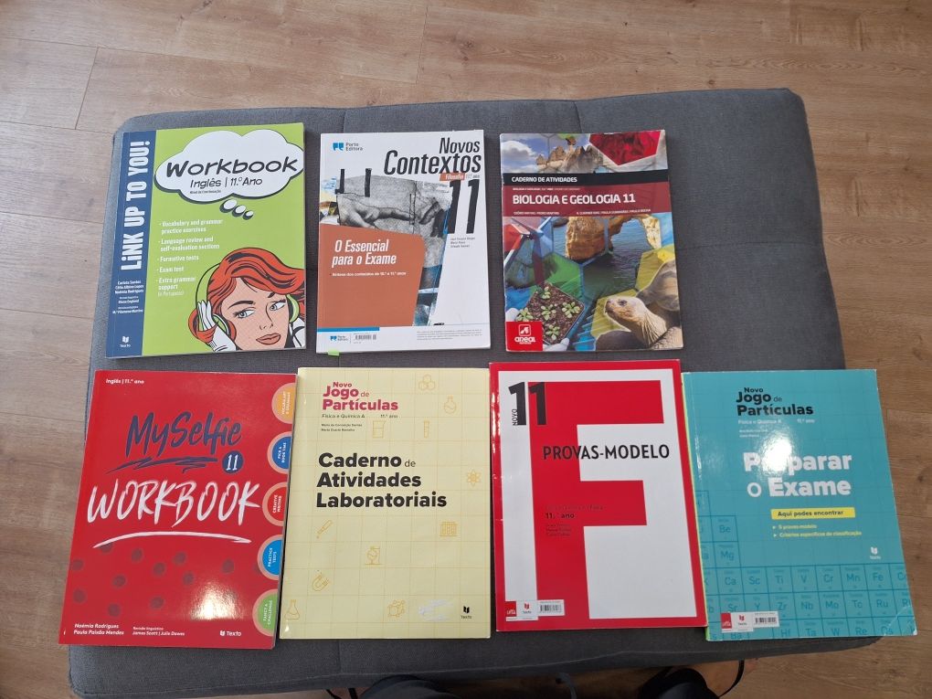 Cadernos de atividades 11 ano