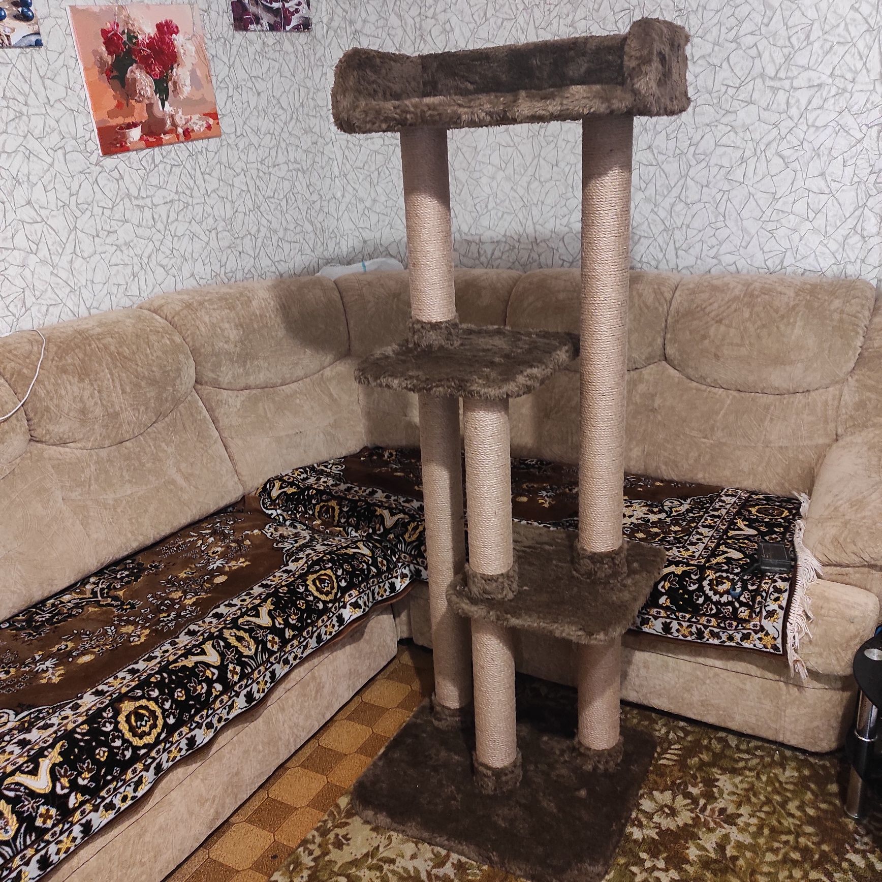 Домик для котов когтеточка