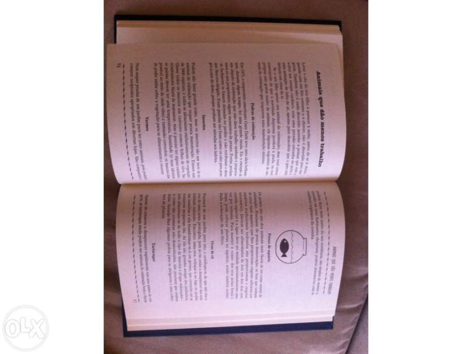 O Livro dos Pais | Como Ser o Melhor do Mundo