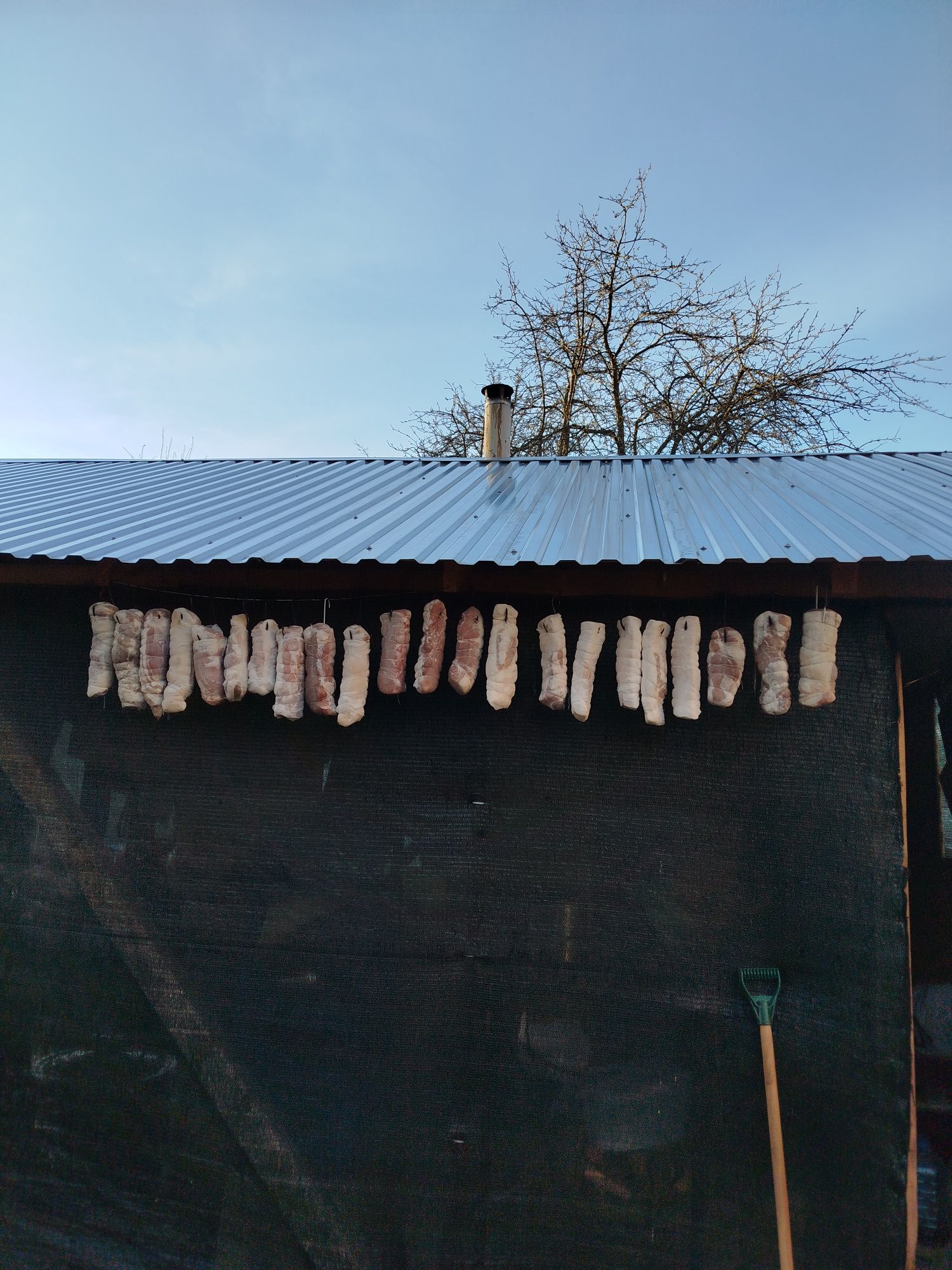 Мясо домашнього кролика