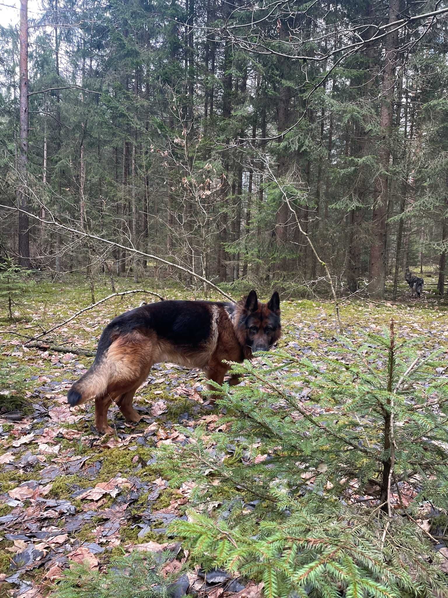 Znajdźmy Promyczkowi jego ludzi!