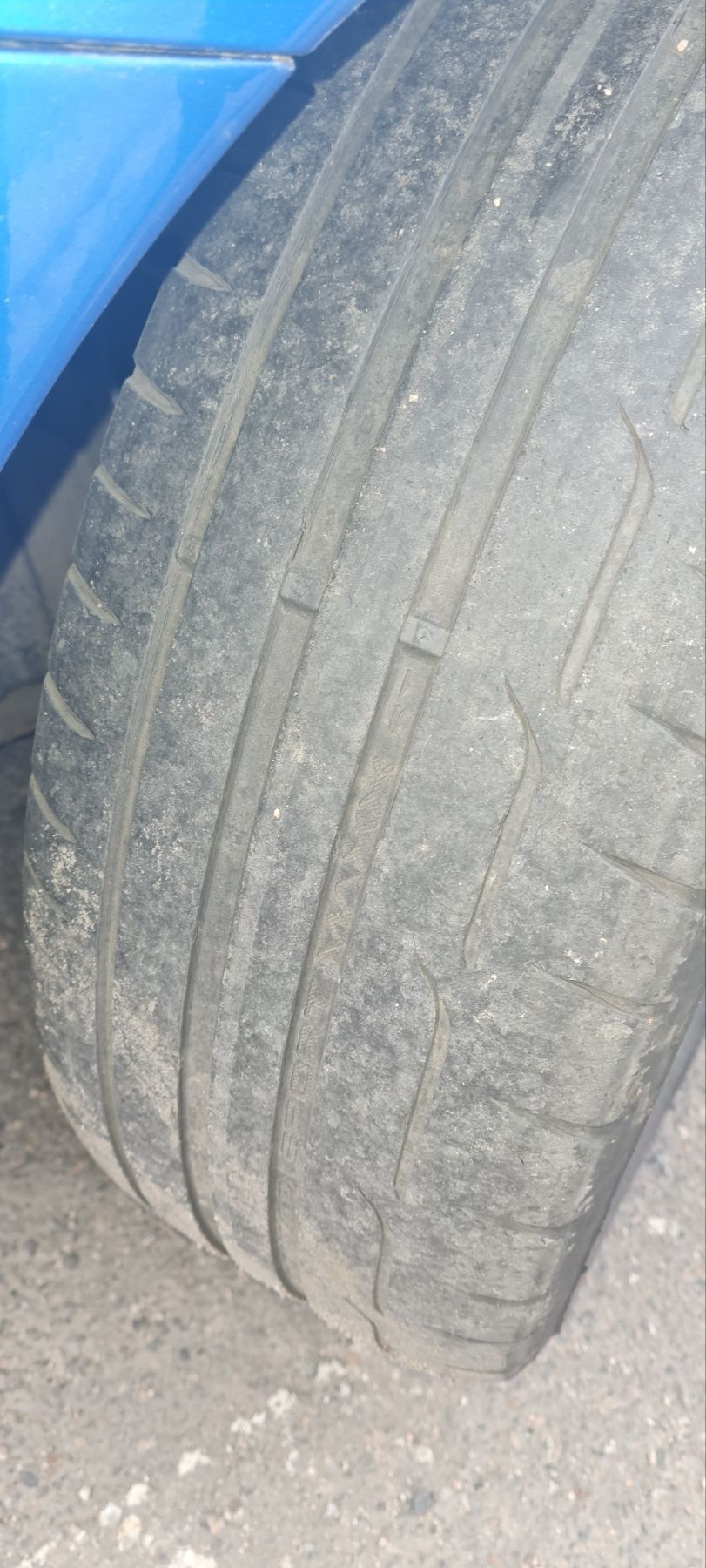 Dunlop sport maxx 205/50 R16 шины