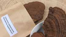 Lakownica spłaszczona Ganoderma applanatum  suszona 100gr