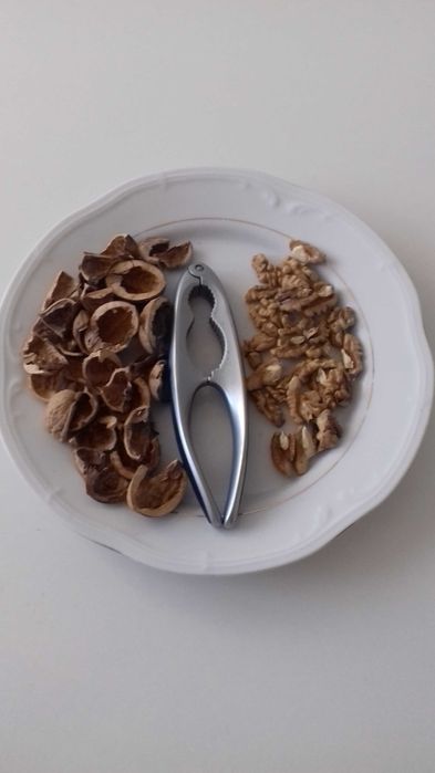 Orzechy włoskie świeże (5 kg), do sprzedania