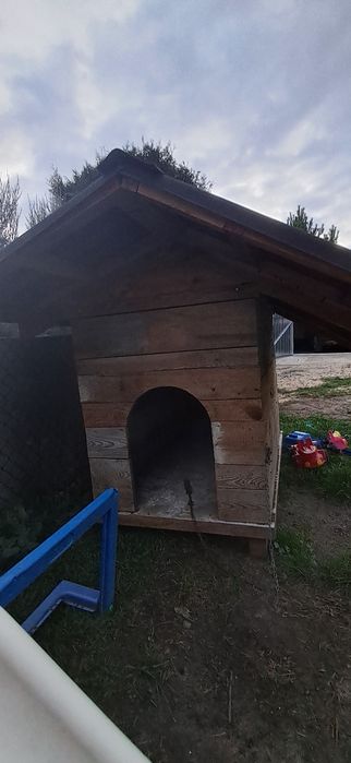 Duża buda dla pieska