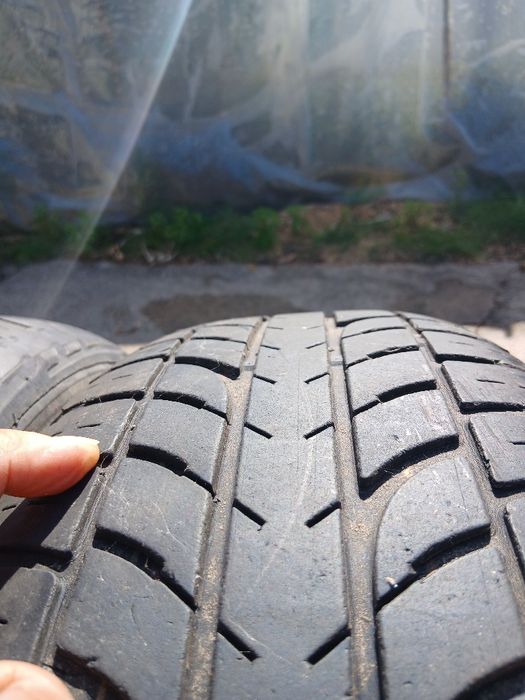 Opony letnie Diplomat