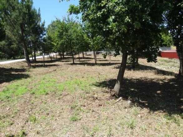 Terreno em Carvalhal Redondo com 1679m²