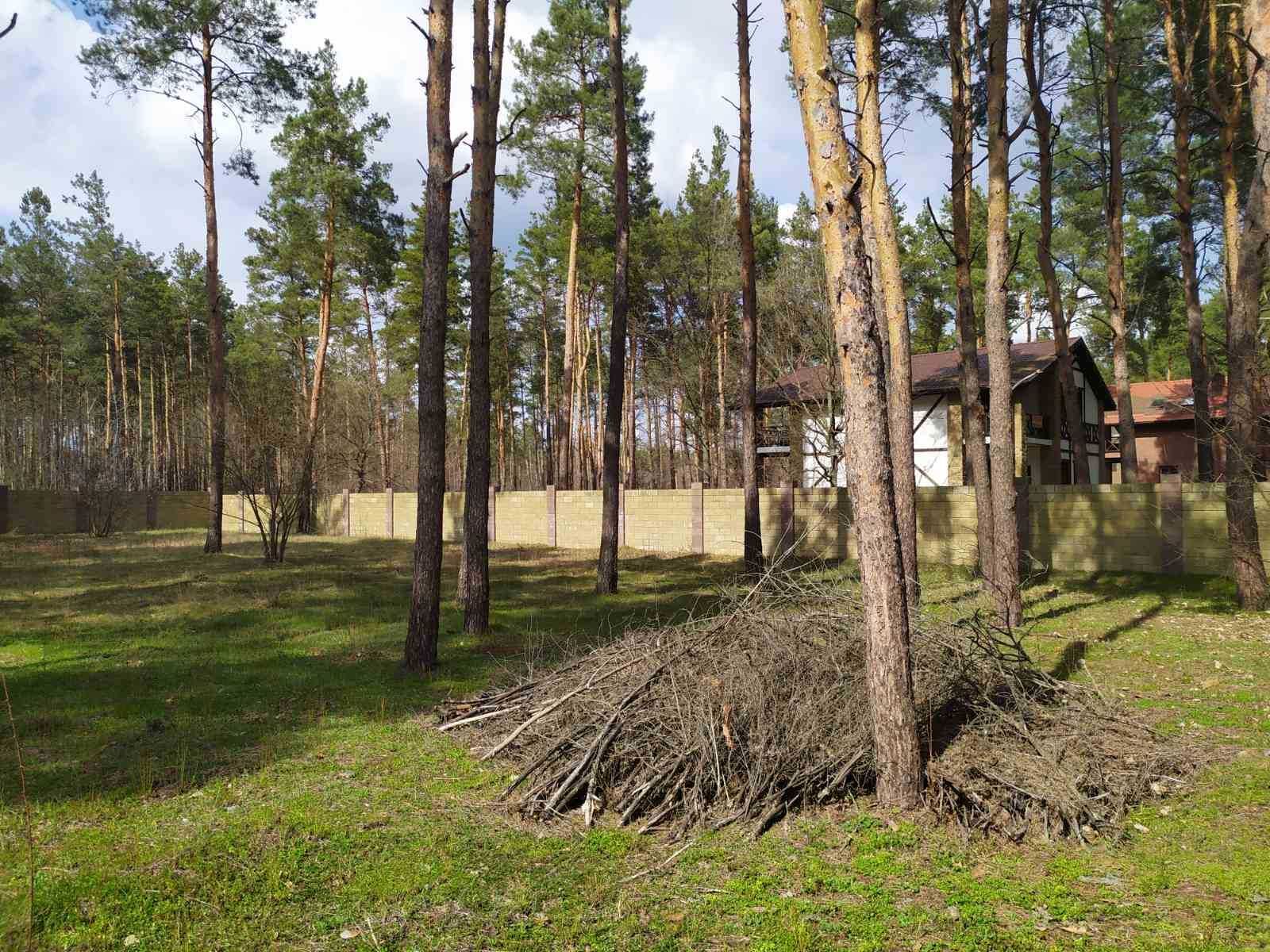 Продам участок(ділянку ) в лесу  Песчанки