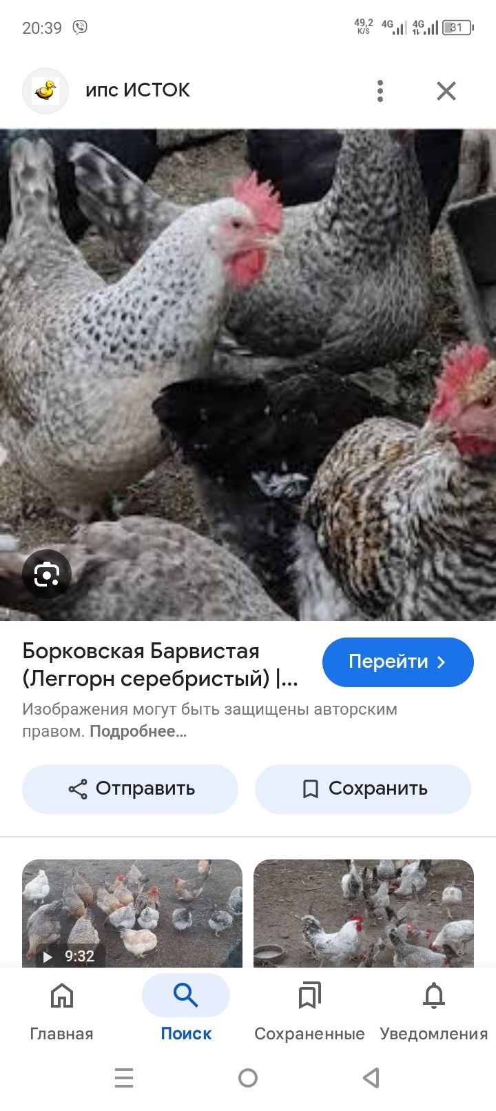 Качка несушка опт та роздріб бегунок