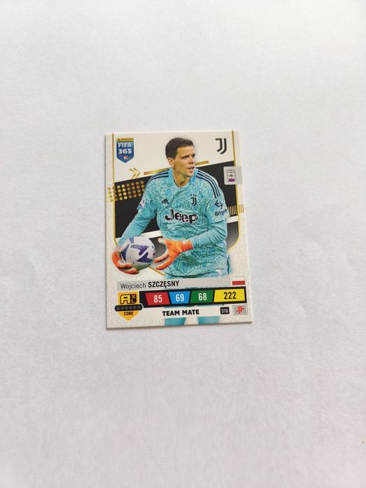 Karta Wojciech Szczęsny FIFA 365 Team Mate 316 z 2023r
