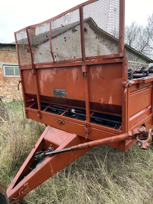 Роу 6 доглянутий