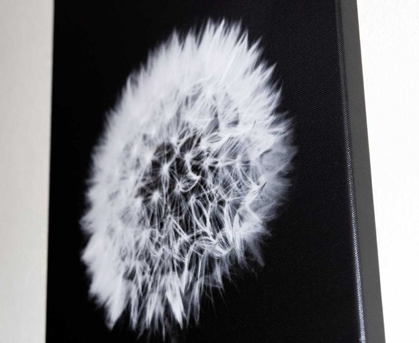 Telas fotográficas de natureza para decoração (várias dimensões)