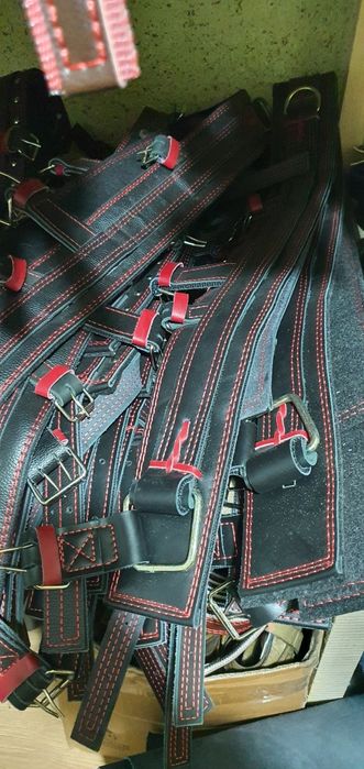 Упряж шлея, наритник, уздечка, недоуздок, ліци.