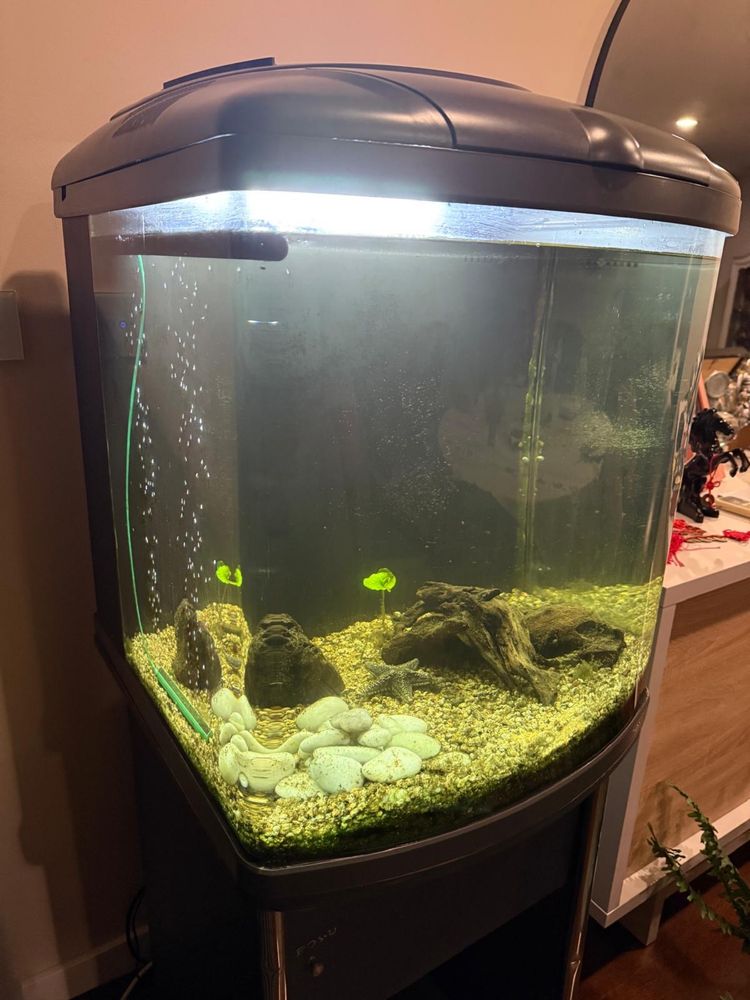 Aquario com armario