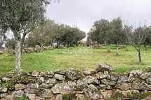 Moradia T3 com espaço exterior e vista magnífica para Serra da Estr...