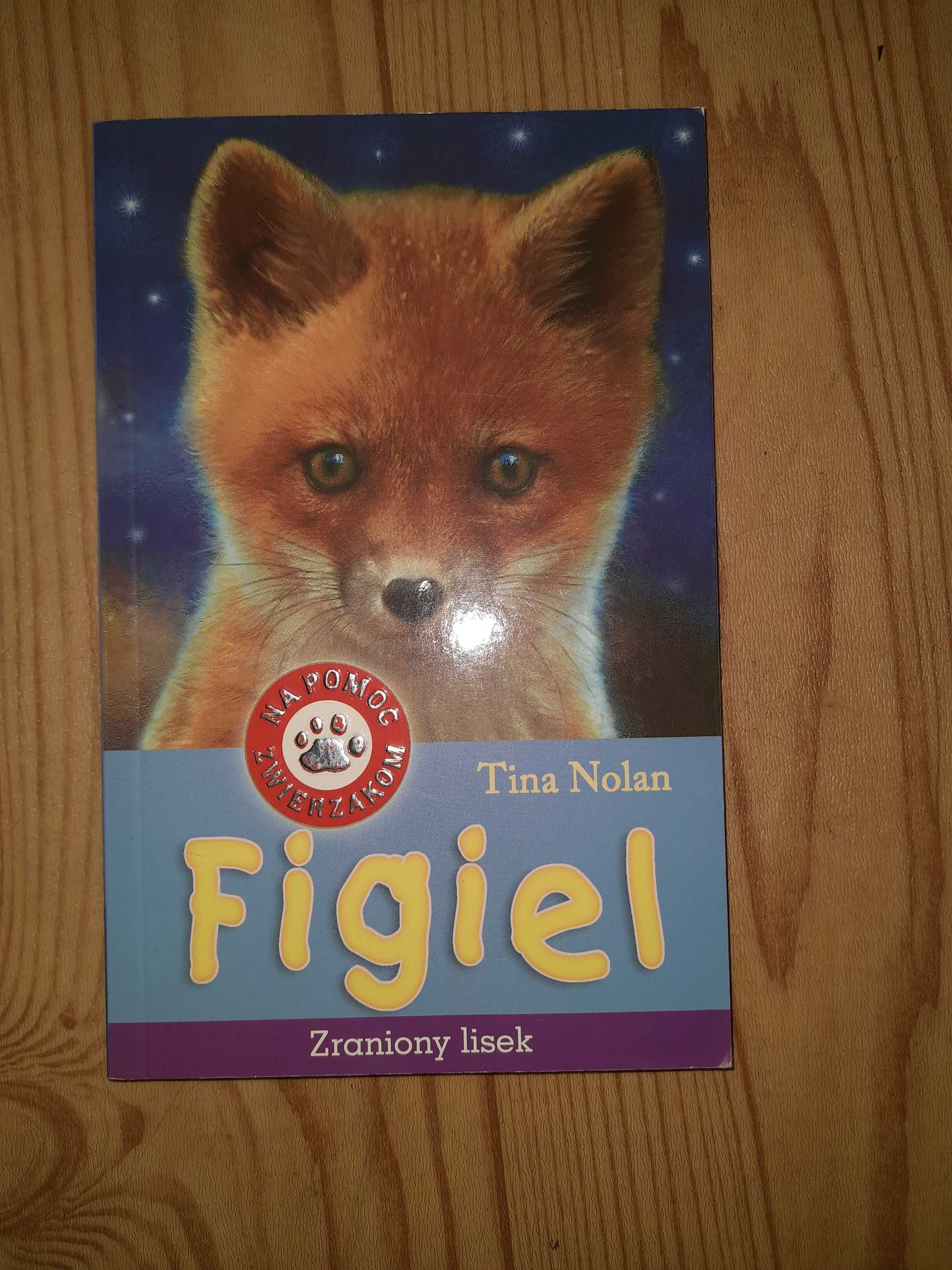 Książka ,,Figiel" dla dzieci.