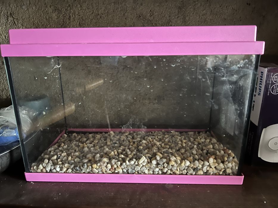 Aquario rosa como novo