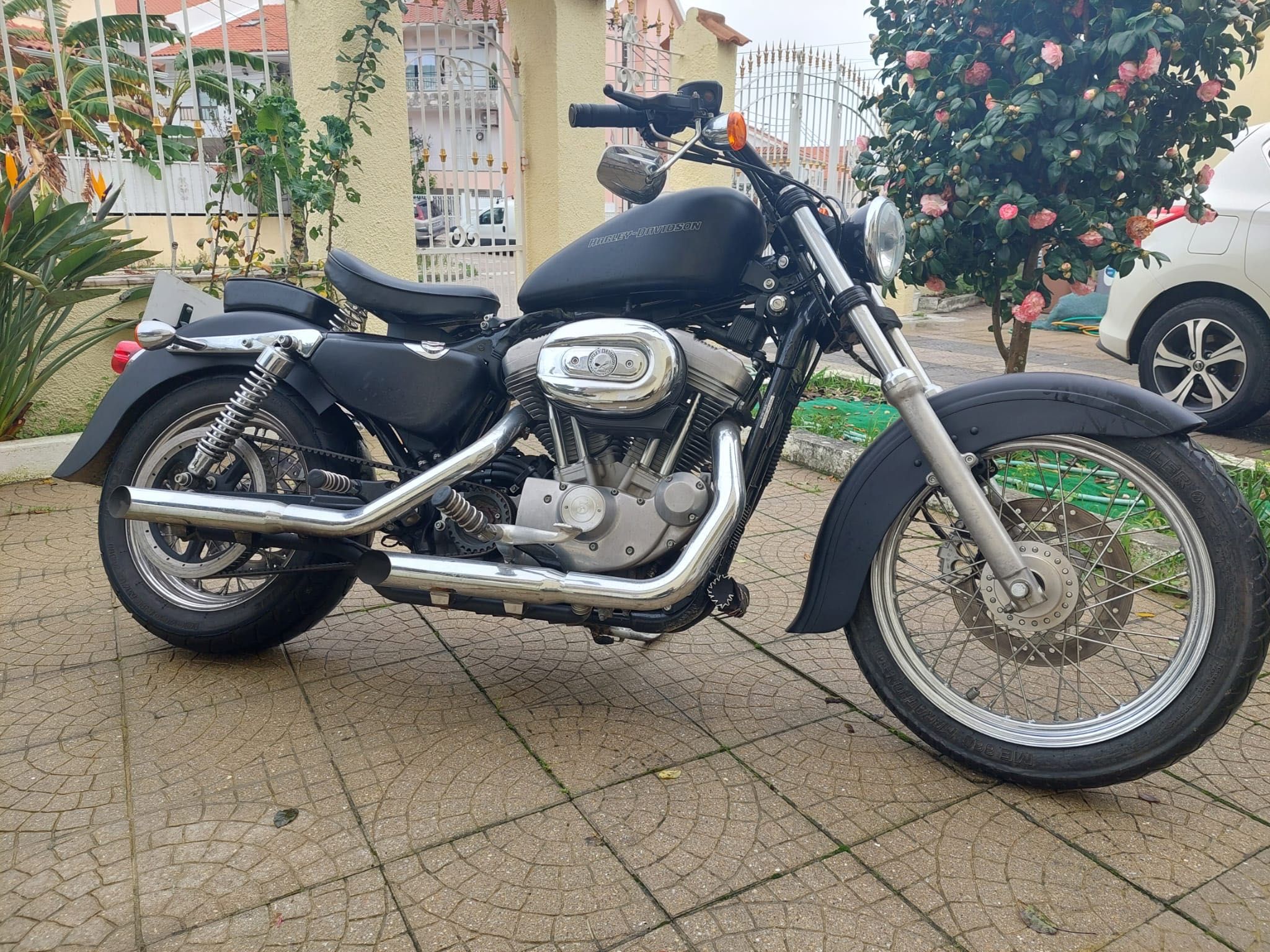 Harley Davidson 883 Sportster