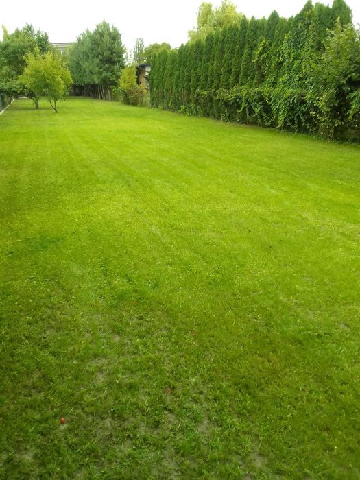 1/2 domu blisko centrum