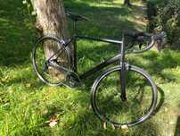 Canyon endurance AL 6 RB