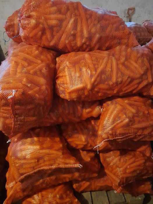 Marchew paszowa odpadowa