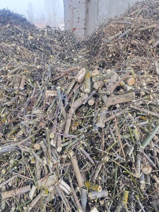 Щепа з гілок від 5 до 12 см