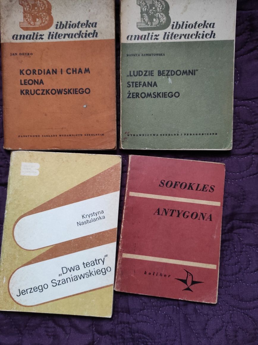 Opracowania lektur, książki dla dzieci i młodzieży  i inne pozycje.