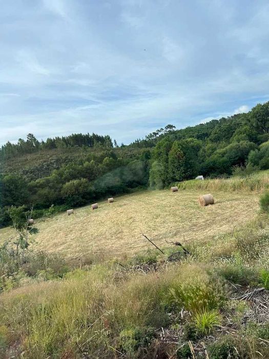 Terreno Rustico a beira da Ribeira na Serra da Estrela