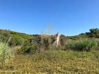 Terreno com ruína a 5 minutos da Aldeia do Meco