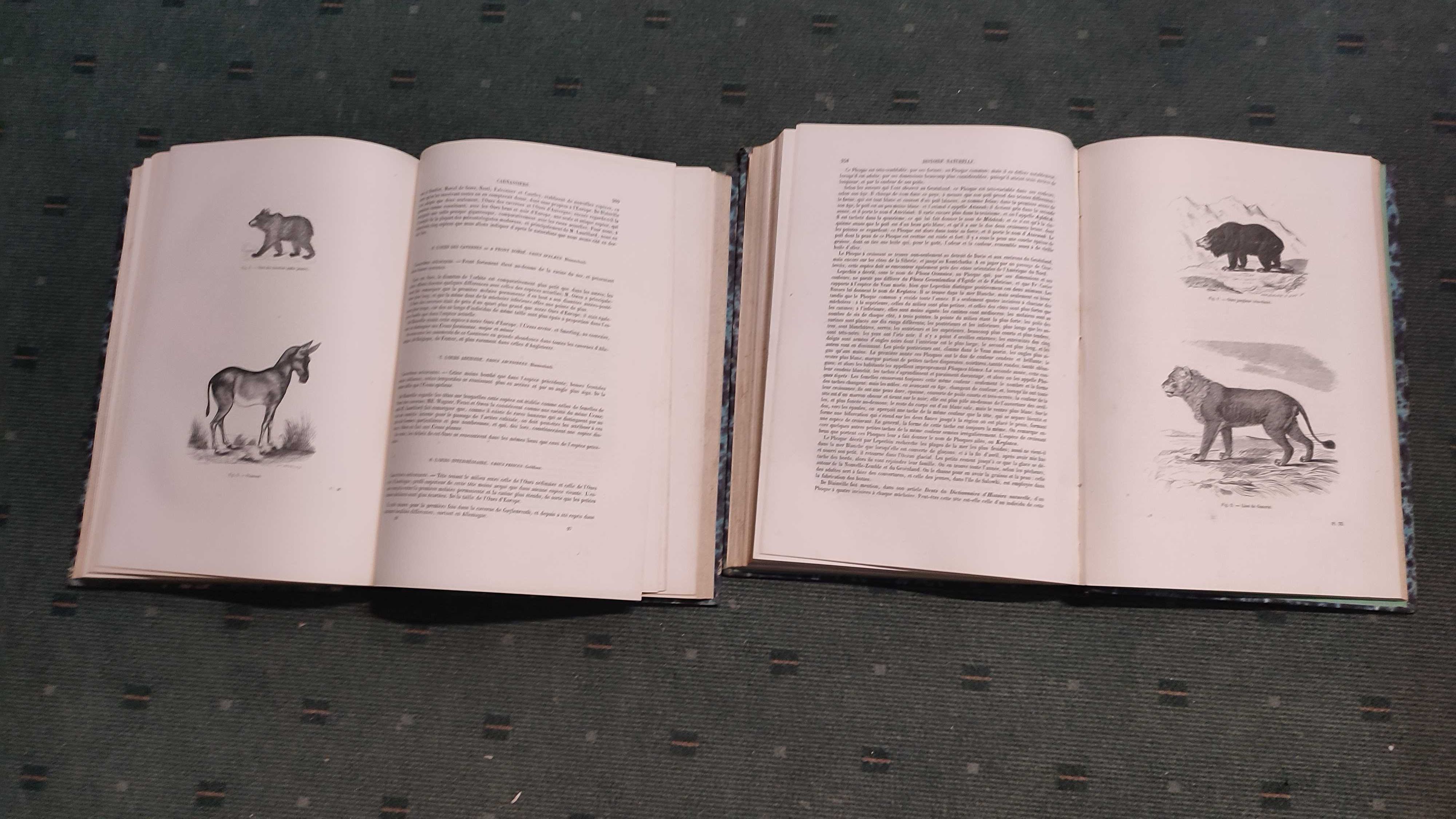 Encyclopédie D'Histoire Naturelle Traité Complet -Carnassiers - 2 Vol