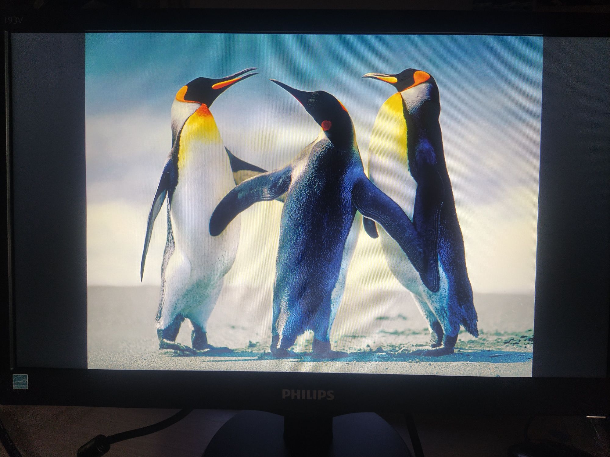Монитор Philips 193v5lsb2/62