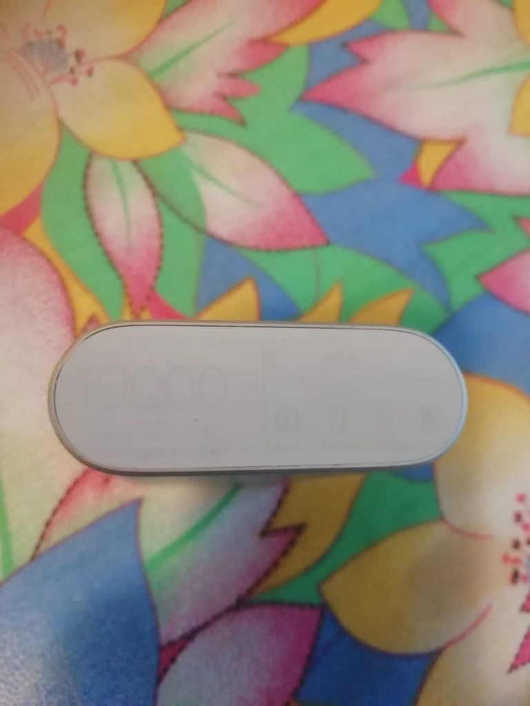 Power Bank 10000 MAH