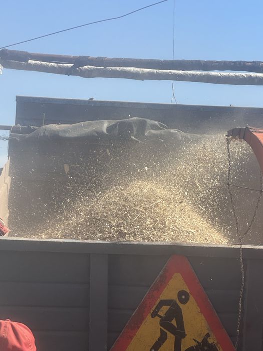 Щепа древесная твьордых пород