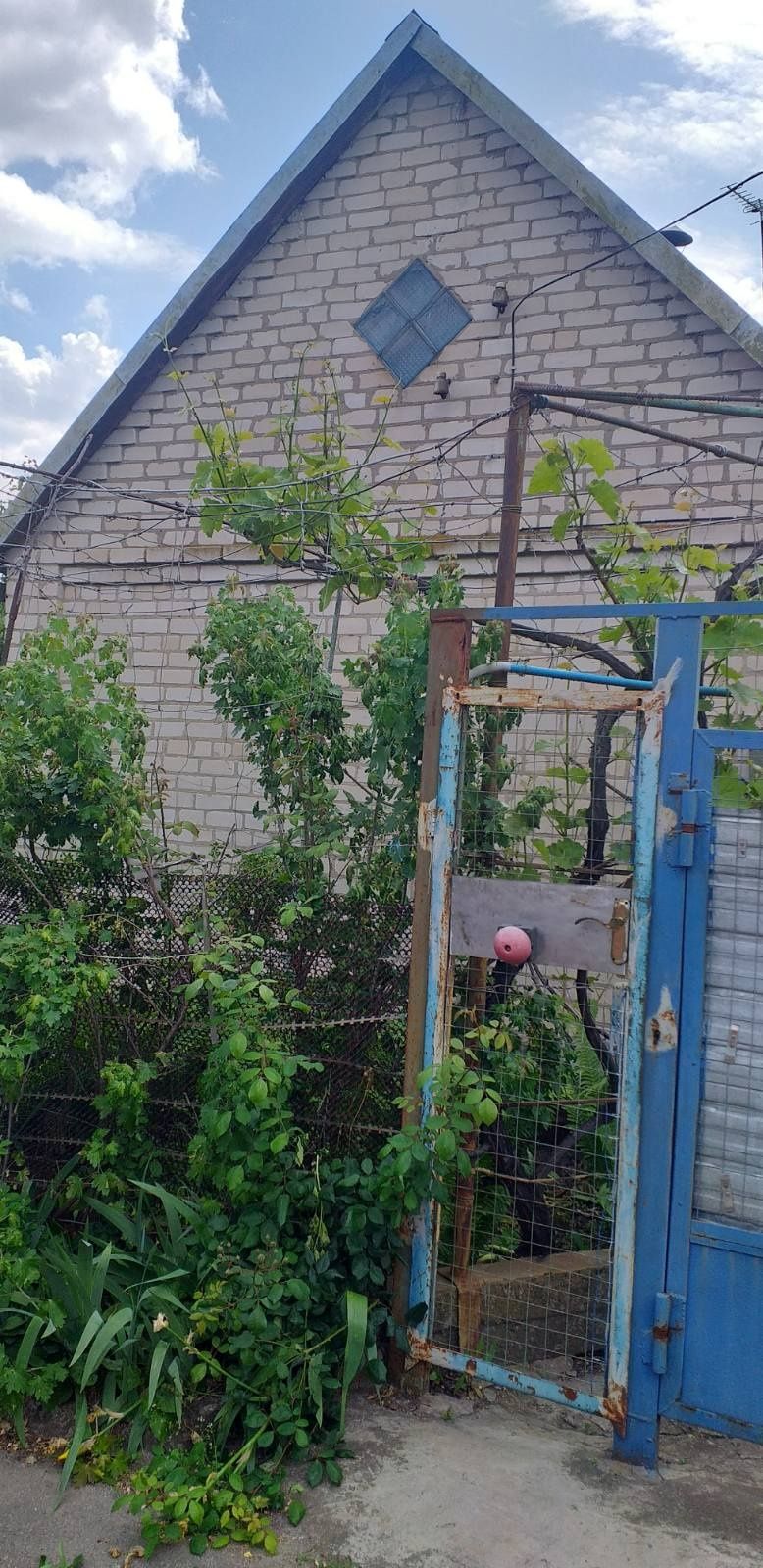 Продам СРОЧНО дачу в Малокатериновке