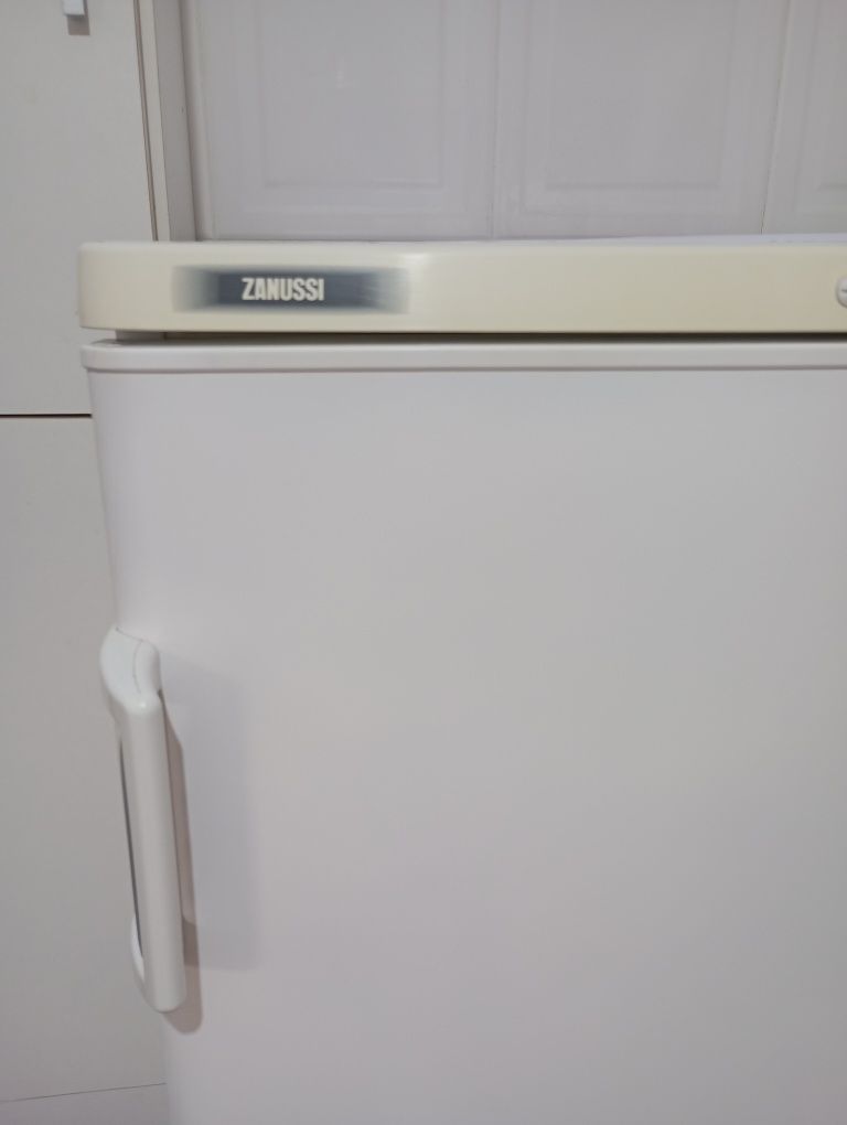 Arca vertical Zanussi