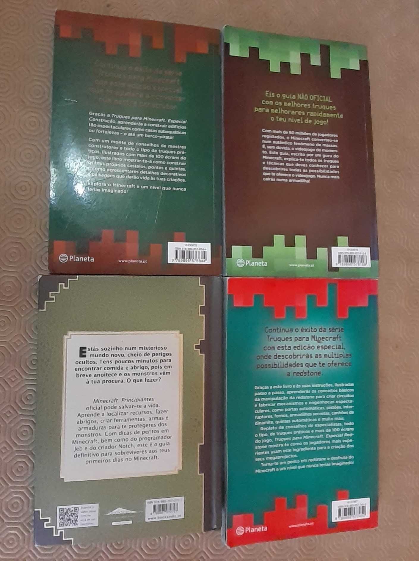 Minecraft Livros - Megan Miller